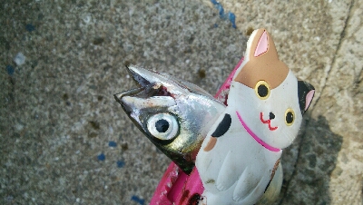 『釣りデビュー(^^)』212