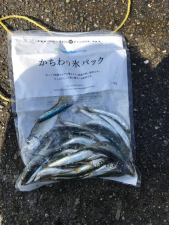 イワシマシマシ アジ少なっ!