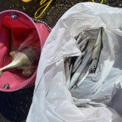 千葉港大潮の土曜日は朝から混んでた