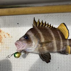 一つテンヤの珍客