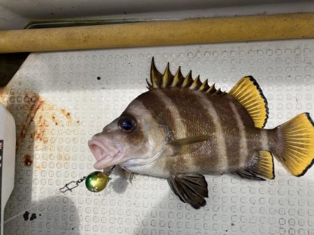 一つテンヤの珍客