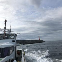 2年ぶりのカツオ