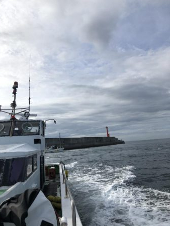 2年ぶりのカツオ