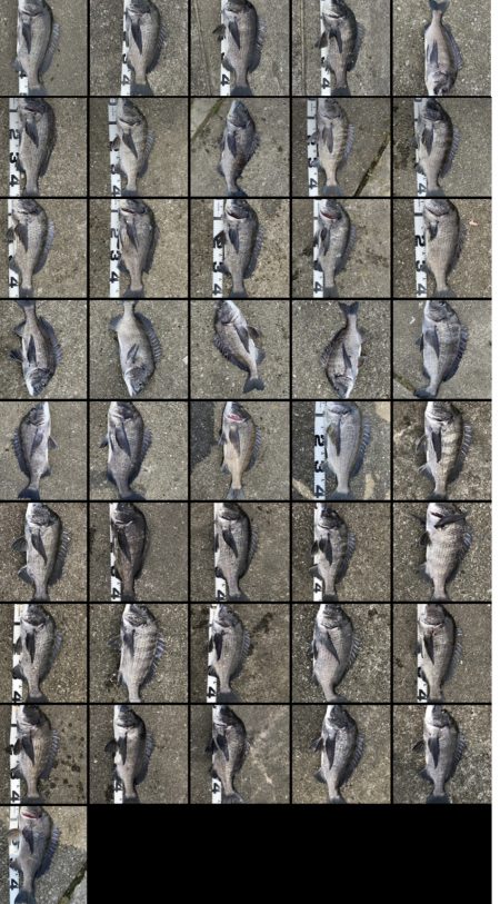 イチノ兄弟、釣果!