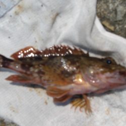 暑くてたまらん