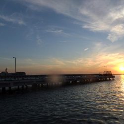 サバゲーのちアジング