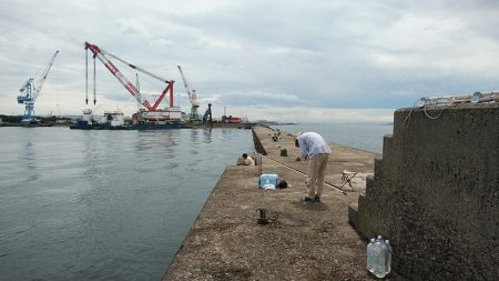 相変わらずピンギスばかりです