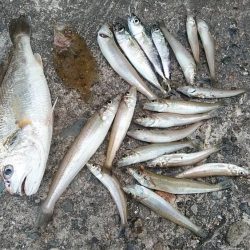 シーズン初の高砂釣行