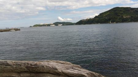 ようやくアジが！（泣）