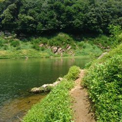 トップとボトム狙い