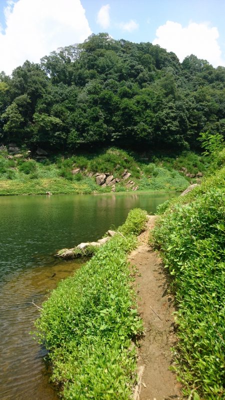 トップとボトム狙い