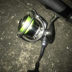 ダイソーワームでガシラ狙い