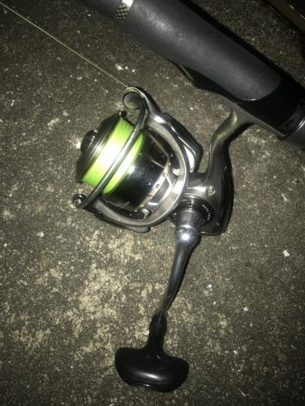 ダイソーワームでガシラ狙い