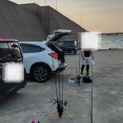 久しぶりのアジング