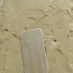 ハゼングからの