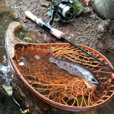 テレスコデビュー