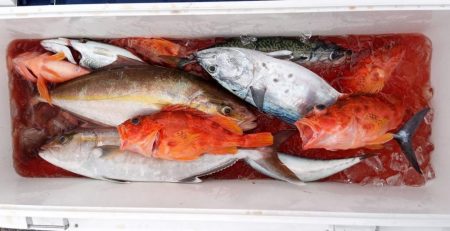 康仁丸・ジギング釣り果