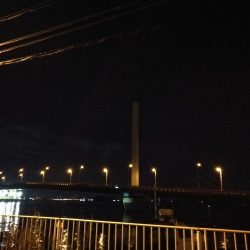 2021/07/16 南港ヘチ釣り