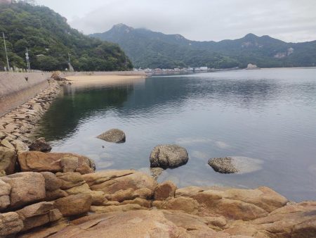 本浦海岸で磯釣り＆渚釣り