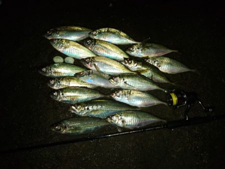 (尺アジ)フロートゲーム