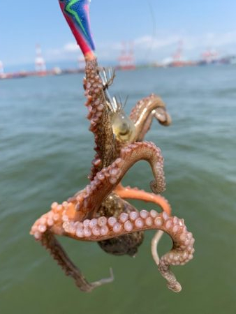 タコ計　３キロ　好調ではないが