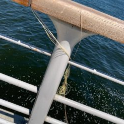 渋い?渋くない?どっち?