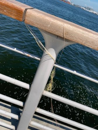 渋い?渋くない?どっち?