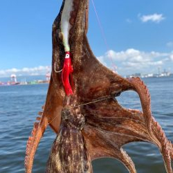 500gが2杯、400gが3杯、計23杯