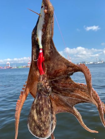 500gが2杯、400gが3杯、計23杯