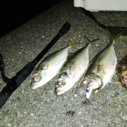 (尺アジ)フロートゲーム