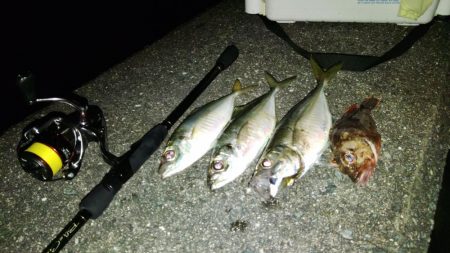 (尺アジ)フロートゲーム