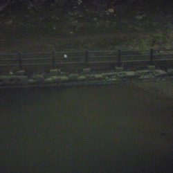 梅雨明け？バス