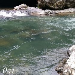 引原川本流にはロマンがある