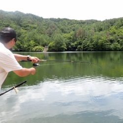 フィッシングレイクたかみや 釣果