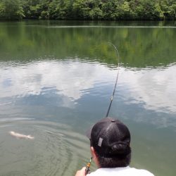 フィッシングレイクたかみや 釣果