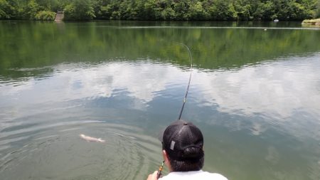 フィッシングレイクたかみや 釣果