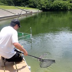 フィッシングレイクたかみや 釣果
