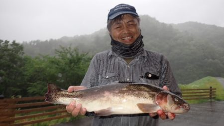 フィッシングレイクたかみや 釣果