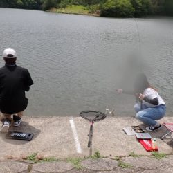 フィッシングレイクたかみや 釣果