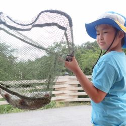 フィッシングレイクたかみや 釣果