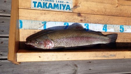 フィッシングレイクたかみや 釣果