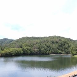 フィッシングレイクたかみや 釣果