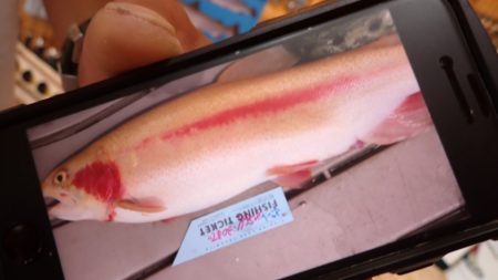 フィッシングレイクたかみや 釣果