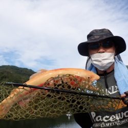 フィッシングレイクたかみや 釣果