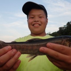 フィッシングレイクたかみや 釣果