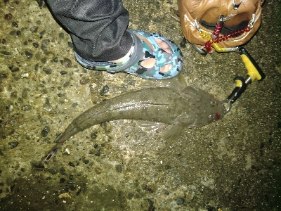 柔らかロッド楽し♪