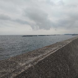 柔らかロッド楽し♪