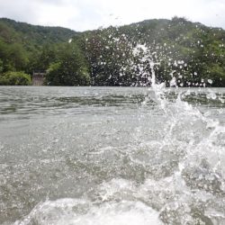 フィッシングレイクたかみや 釣果