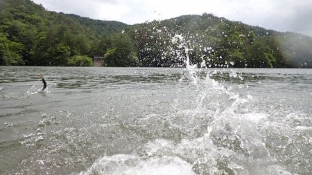 フィッシングレイクたかみや 釣果