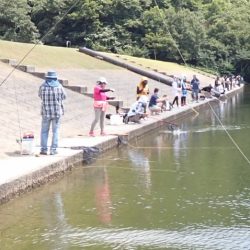 フィッシングレイクたかみや 釣果